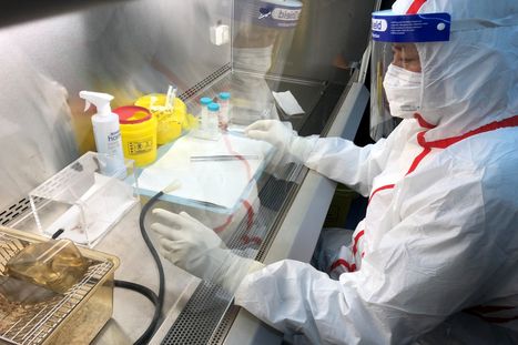 Obrázek: Apokalypsa z laboratoře: Odborníci varují před další pandemií i bioterorismem!