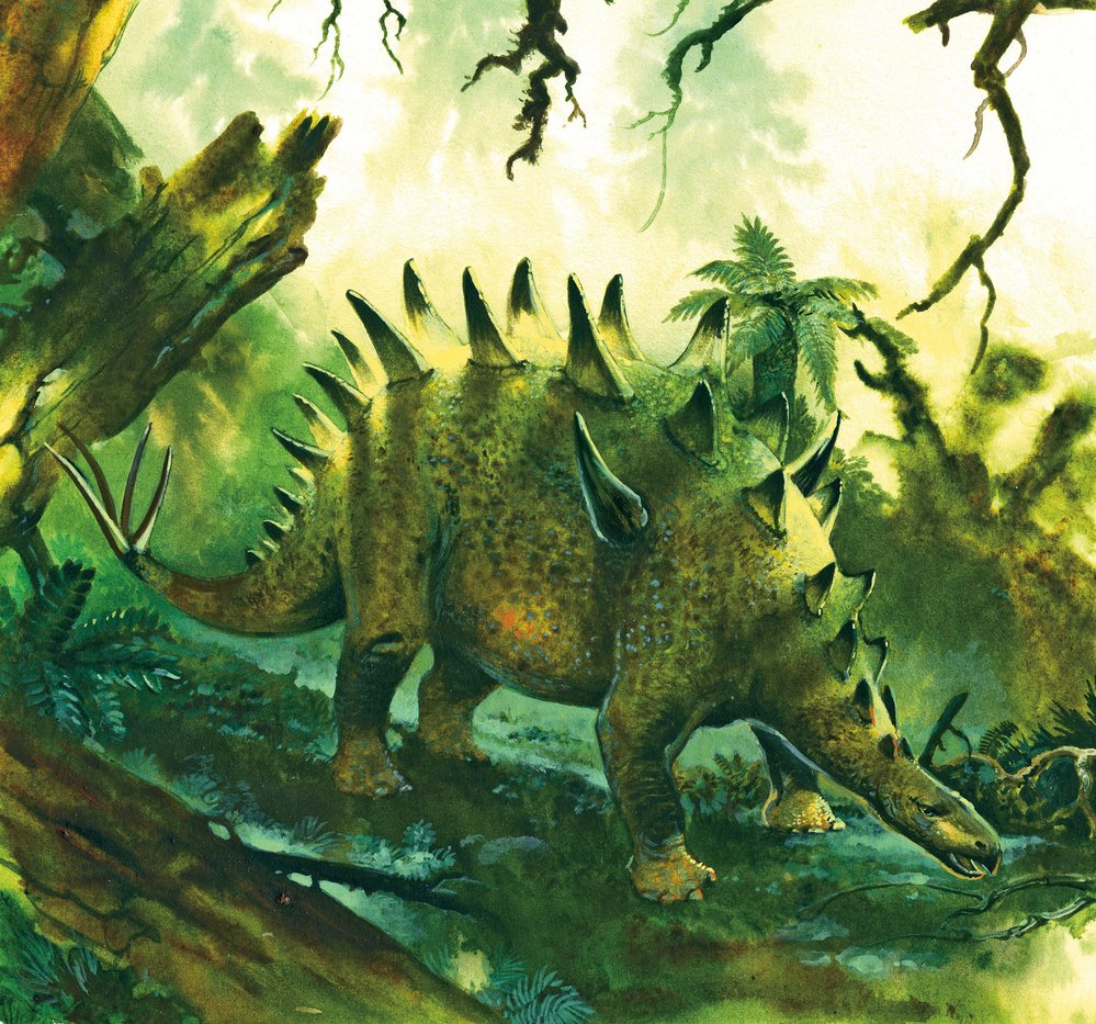 Celý hřbet i ocas stegosauridů byl přírodou „zkonstruován“ a „vyzbrojen“ tak, aby bylo velmi těžké na ně úspěšně zaútočit