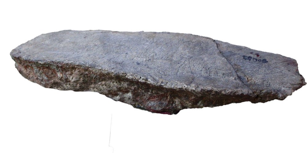 Součástí tělního „pancíře“ stegosauridů byly o kostěné destičky zvané osteodermy