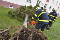 Česko provětrá vichřice i orkán. Mohou odnést střechy a lámat stromy