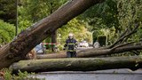 Řádění orkánu u sousedů: V Polsku bouře zabíjela, v Německu ochromila železnici