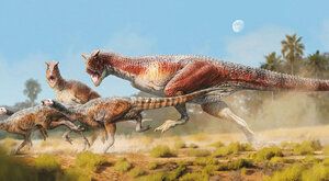 ABC dinosaurů: Xenotarsosaurus je záhadný dravec