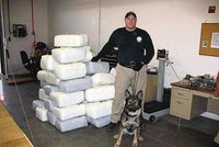 Český pes v USA odhalil půl tuny heroinu!