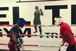 Boxerský trénink Patrika &#34;Rytmuse&#34; Vrbovského