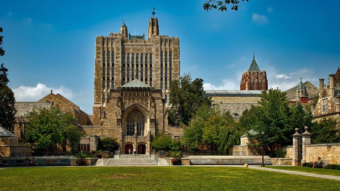 Fond, který spravuje majetek americké Yale University, patří mezi velmi úspěšné dlouhodobé investory.