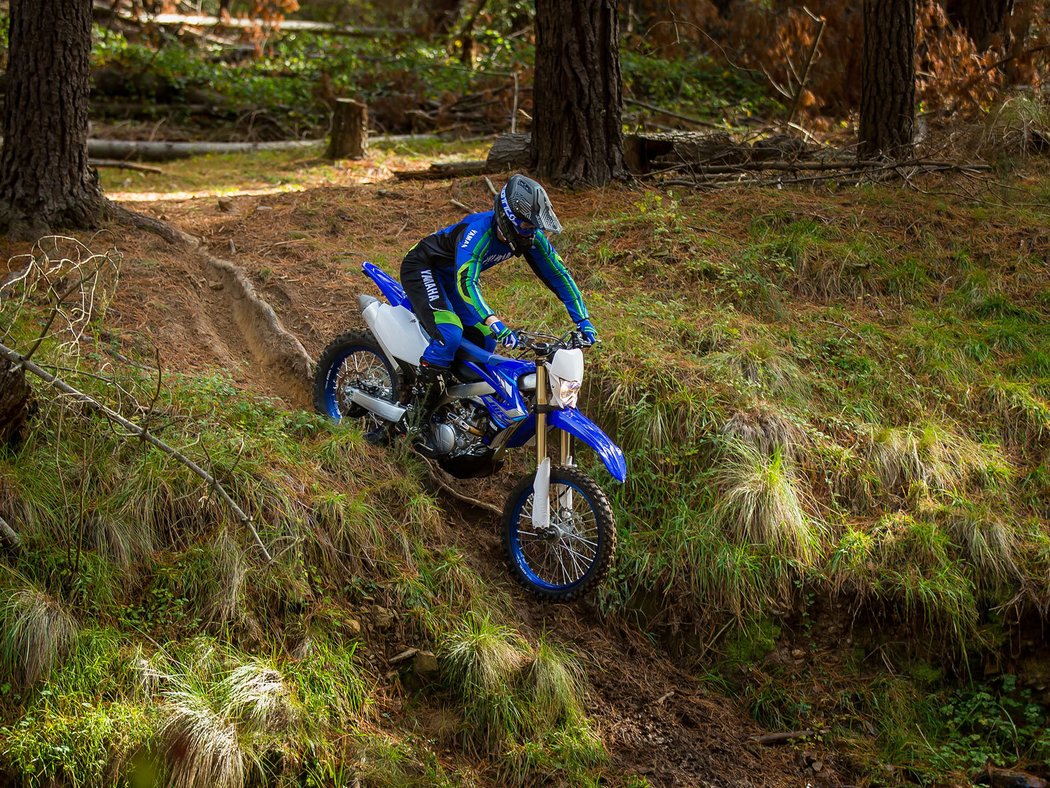 Yamaha WR250F