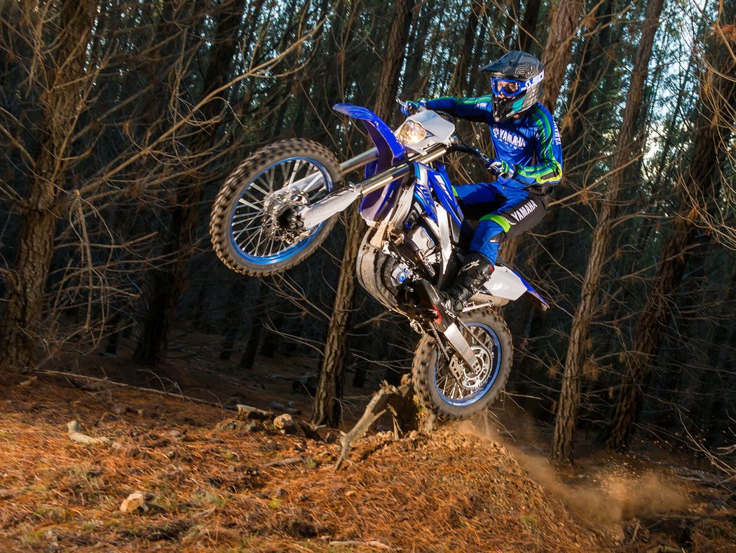 Yamaha WR250F