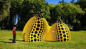 Zemřela japonská umělkyně Yayoi Kusama, pro jejiž tvoru byly typické výrazné barvy a nekonečné puntíky