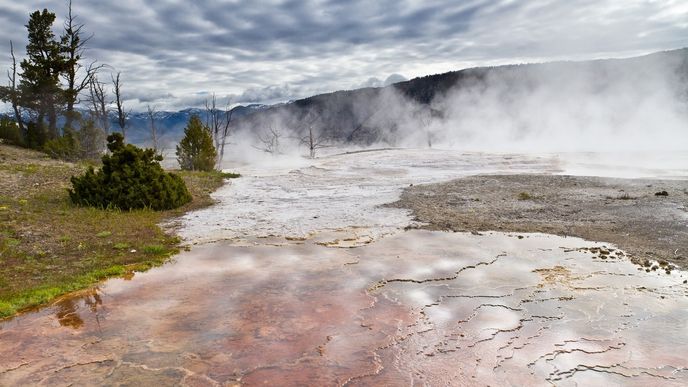 Yellowstone