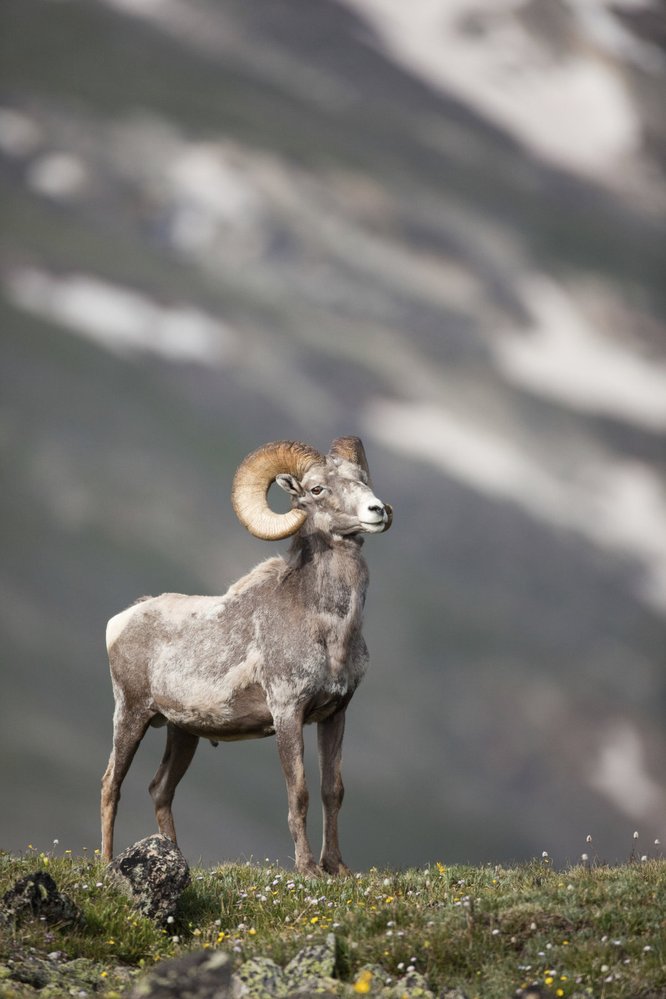 Park Yellowstone je plný přírodních krás