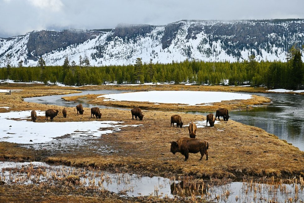 Yellowstoneský národní park