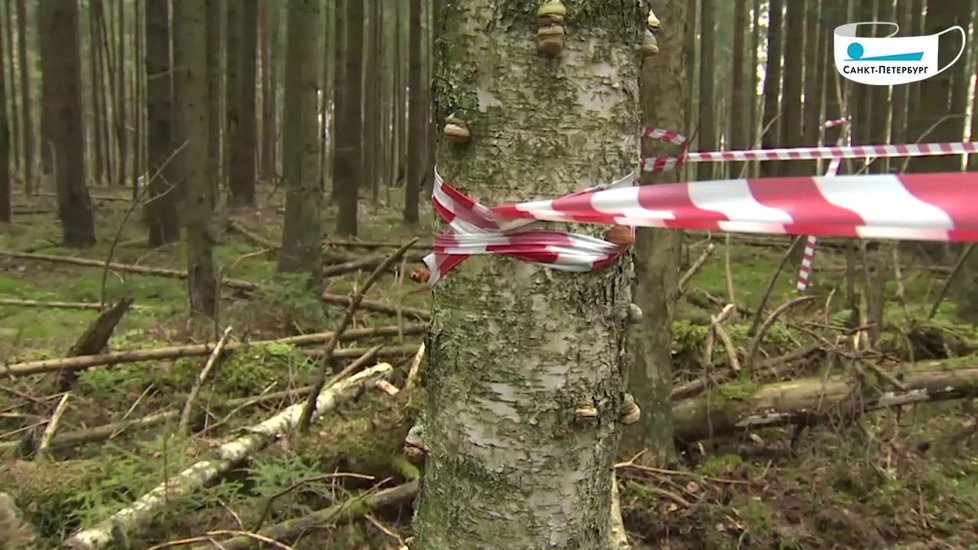 Záběry z místa činu, kde byla zaživa pohřbena žena.