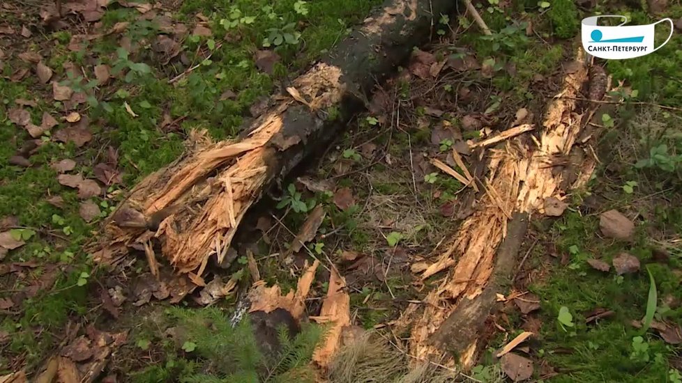 Záběry z místa činu, kde byla zaživa pohřbena žena.