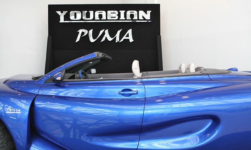 Youabian Puma