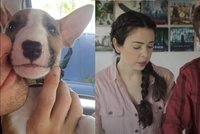 Youtuberský pár Dan a Nikki dvakrát pod kritikou: Kontroverzně se vzdali adopce a utratili svého psa