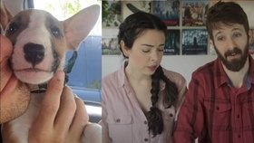 Youtuberský pár Dan a Nikki dvakrát pod kritikou: Kontroverzně se vzdali adopce a utratili svého psa   