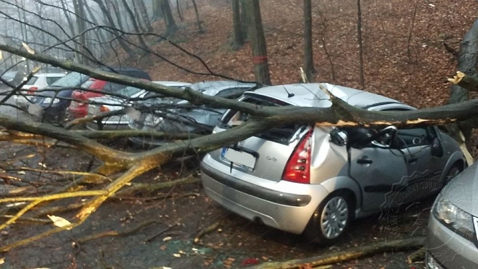 Severovýchod Česka postihne silný vítr, na horách dosáhne rychlosti i 110 km/h.