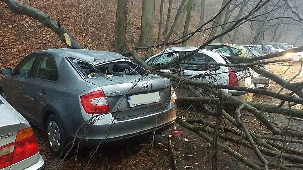 Severovýchod Česka postihne silný vítr, na horách dosáhne rychlosti i 110 km/h.