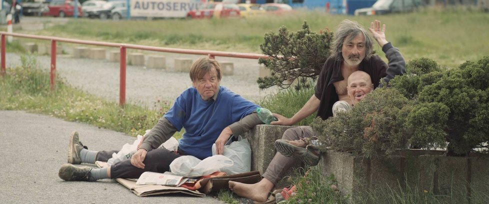 Yvetta Kornová a Josef Petrů si ve filmu Stáří není pro sraby zahráli bezdomovce. Tam také odhalila pleš.