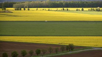 Vláda omezí vydávání půdy. Potřebuje pozemky pro dálnice