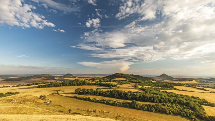 Ačkoli Číčov proslul především výskytem vzácného minerálu aragonitu, najdete zde  i řadu botanických pokladů. Z vrcholku je hezký výhled na Milou, Dlouhý, Oblík, Srdov a Brník.