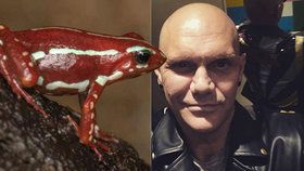 Pornoherec, který točil s Češkami: Čelí obvinění z vraždy žabím jedem