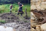 Obnova tůní ve Veřovicích zabrala: Vylíhne se tu sto tisíc žabích vajíček!