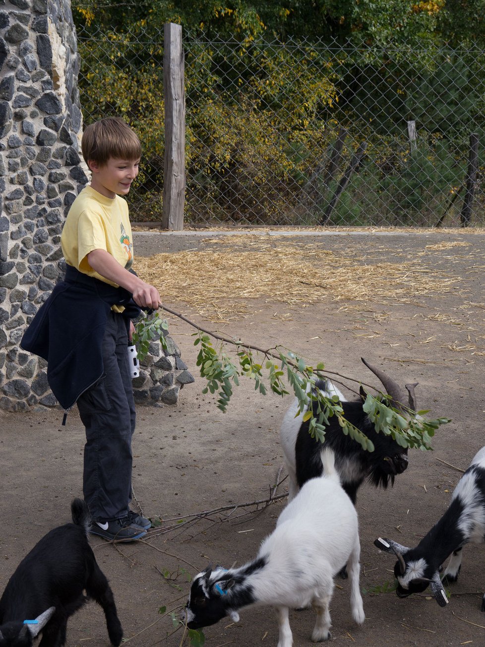 Park Mirakulum: Zvířátka u dětí zaberou vždy.