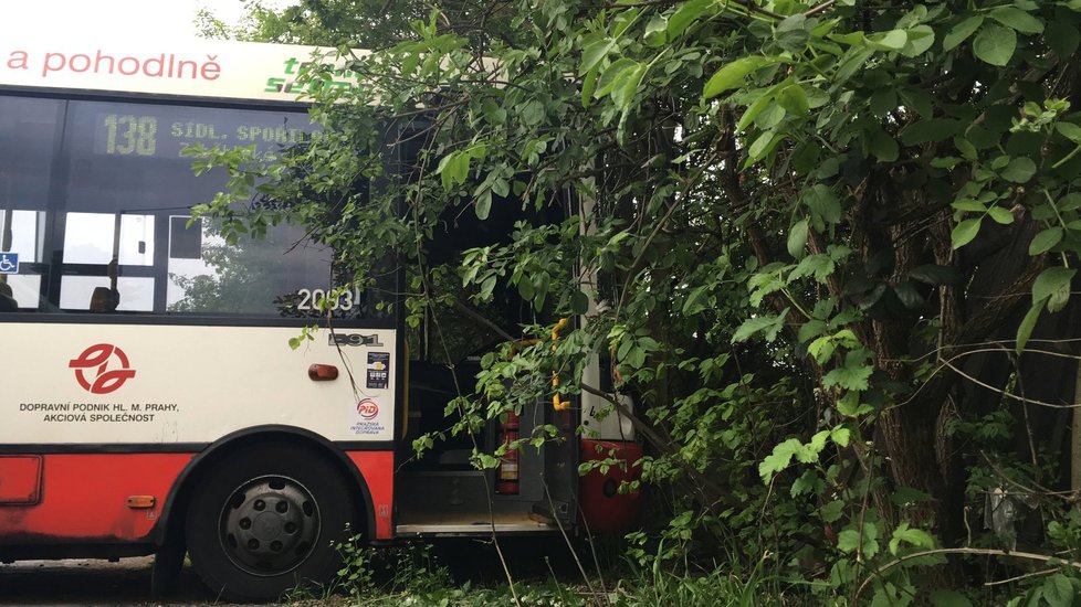 V Záběhlicích narazil autobus do stromu.