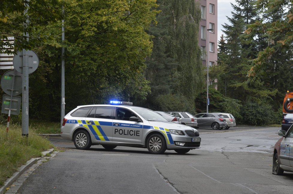 Policie přijme 1000 nových příslušníků, kteří v České republice chybí (ilustrační foto)