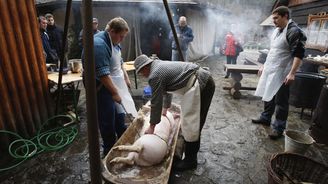 Domácích zabijaček kvapem ubývá. Chybí řezníci 