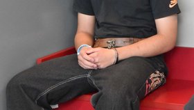 Matěj T. zcela bezdůvodně brutálně ubil dva zcela nevinné a bezbranné muže.