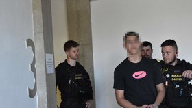 Matěj T. zcela bezdůvodně brutálně ubil dva zcela nevinné a bezbranné muže.