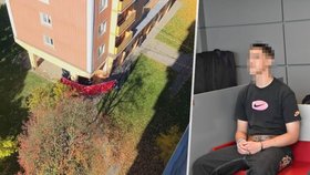 Matěj T. zcela bezdůvodně brutálně ubil dva zcela nevinné a bezbranné muže.