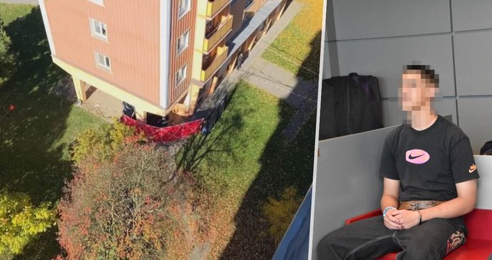 Matěj T. zcela bezdůvodně brutálně ubil dva zcela nevinné a bezbranné muže.