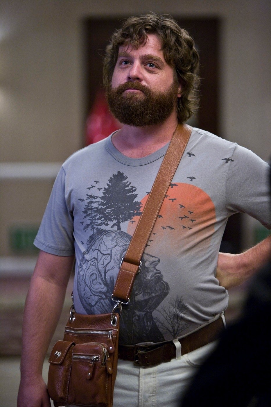 Zach Galifianakis jako Alan v Pařbě ve Vegas.