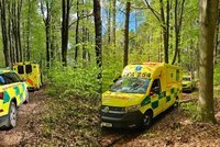 Neslyšící ženě zkolaboval v lese partner: Díky SMS a aplikaci Záchranka pomoc dorazila včas