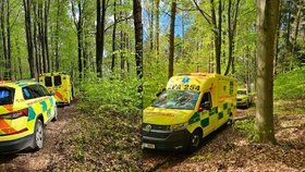 Neslyšící ženě zkolaboval v lese na Chrudimsku partner, se záchranáři komunikovala prostřednictvím SMS, pomoc dorazila včas.