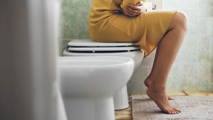 Diagnóza z WC: Stolice může napovědět nemoc i špatné stravovací návyky Diagnóza z WC: Stolice může napovědět nemoc i špatné stravovací návyky