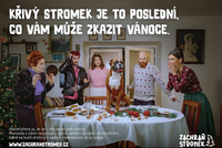 Dokonalý stromeček šťastné Vánoce nezaručí. Buďte udržitelní a využijte Zachraň stromek