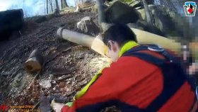 Záchrana dřevorubce, kterému v Liberci strom přimáčkl a pochroumal nohu.
