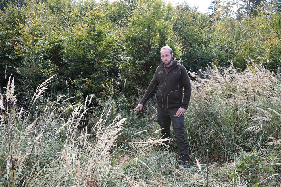 Hajný Martin Semecký ukazuje, odkud se před ním zvedla z trávy malá Julia (8). Místo je Mezi Čerchovem a Českou Kubicí, na půli cesty mezi Českou studánkou a bývalou Bystřicí.