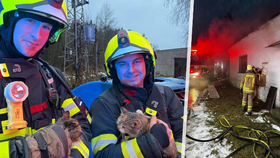 Záchrana člověka a zvířat v Rychnově