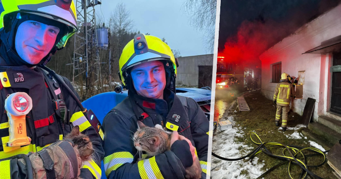 Záchrana člověka a zvířat v Rychnově