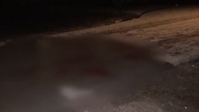 Osmiletá holčička zemřela po srážce s dodávkou odtahové služby.