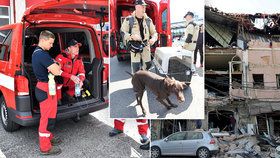 Do Bejrútu odlétají čeští záchranáři. Jsou mezi nimi psovodi i experti na statiku.