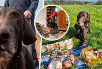 Vytahoval lidi z trosek a dětem kradl párky: Záchranářský pes Darren odchází do důchodu