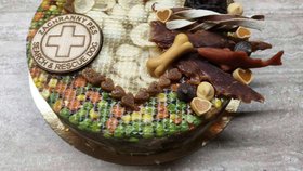 Ohař Darren zasahoval v Bejrútu i Turecku, nyní odchází do psího důchodu.