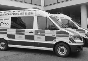 Záchranáři v Plzeňském kraji otřásla tragická smrt kolegy lékaře.