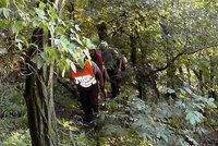 V Kotěrově skončila paraglidistka na stromě, výšková technika byla k ničemu!